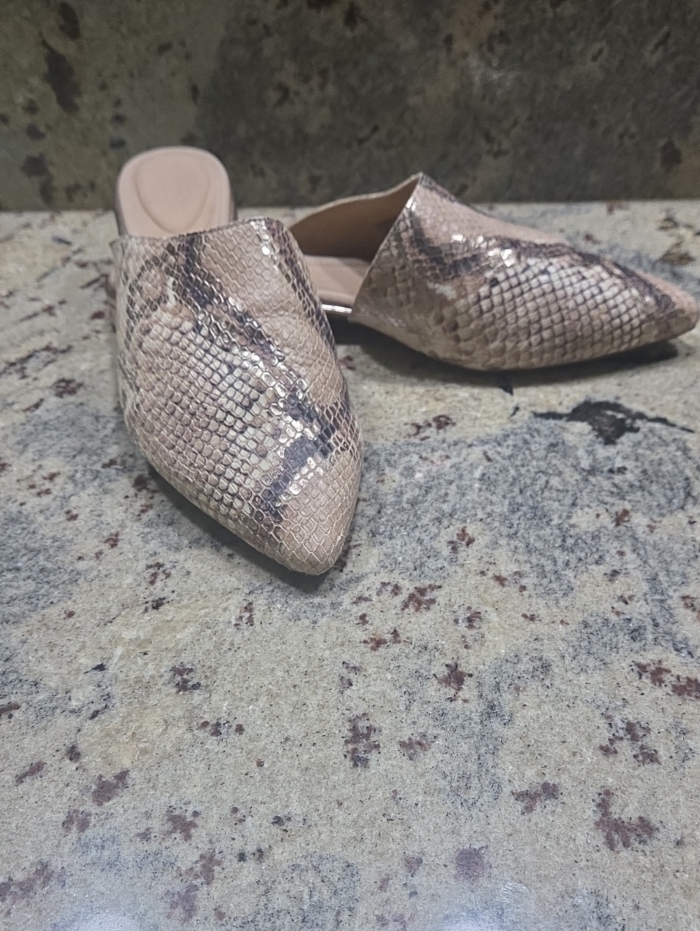 Rockport Snake-Embossed Pointed Toe Mule - Beige
